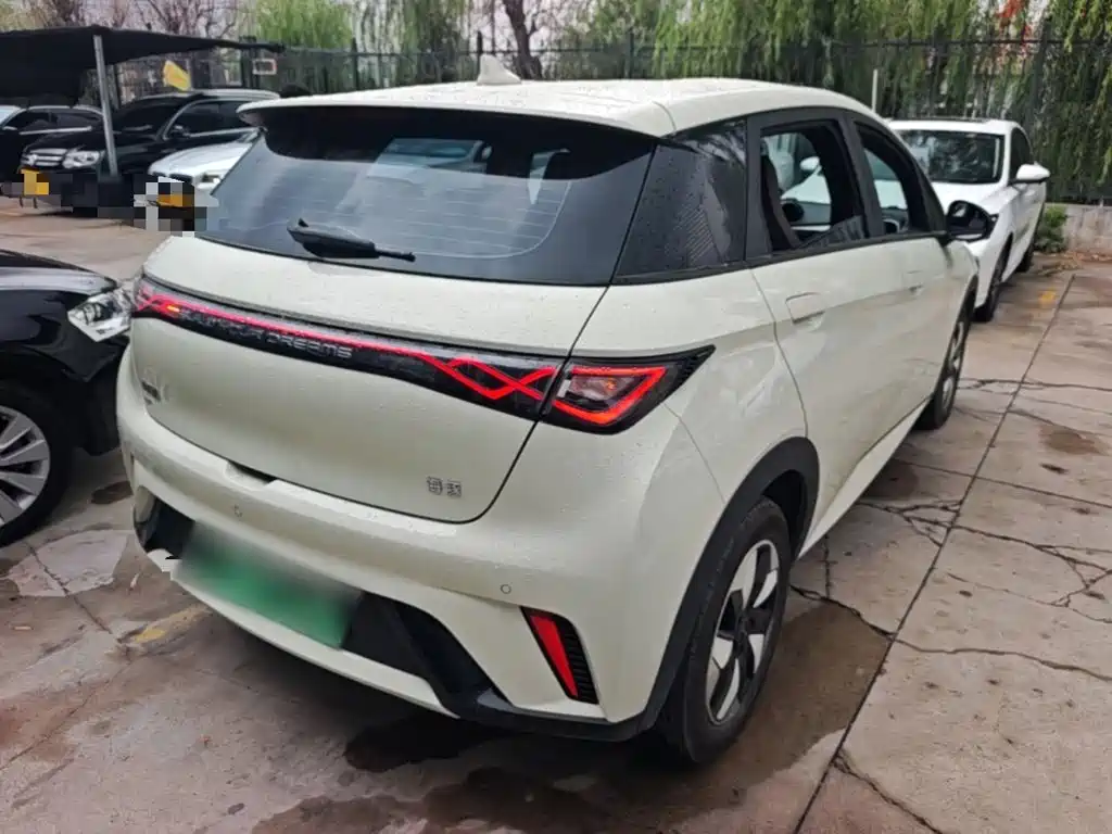 BYD Dolphin 2026 2025 420km Freedom Edition