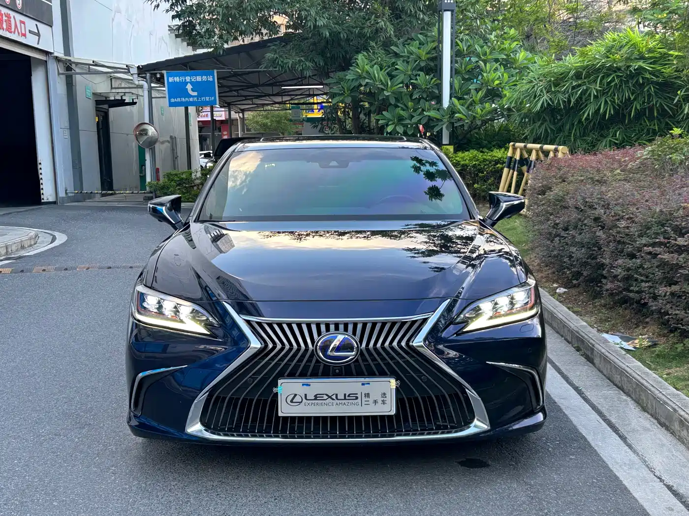 Lexus ES 2018 300h Executive Edition China V фото 2