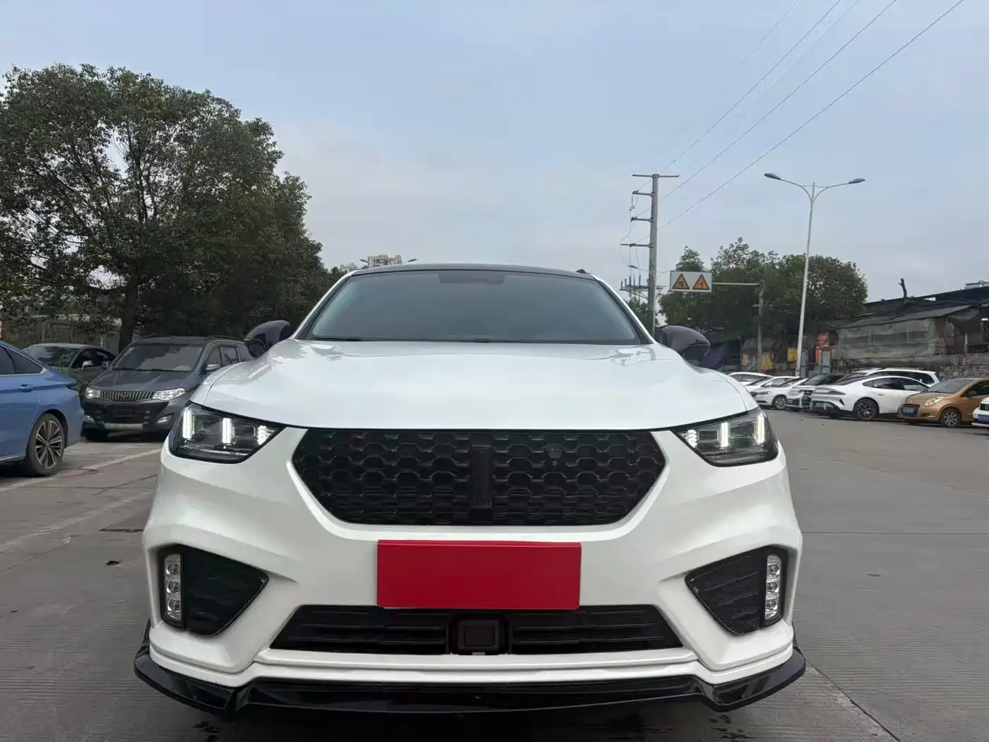 WEI PAI WEI BRAND VV5