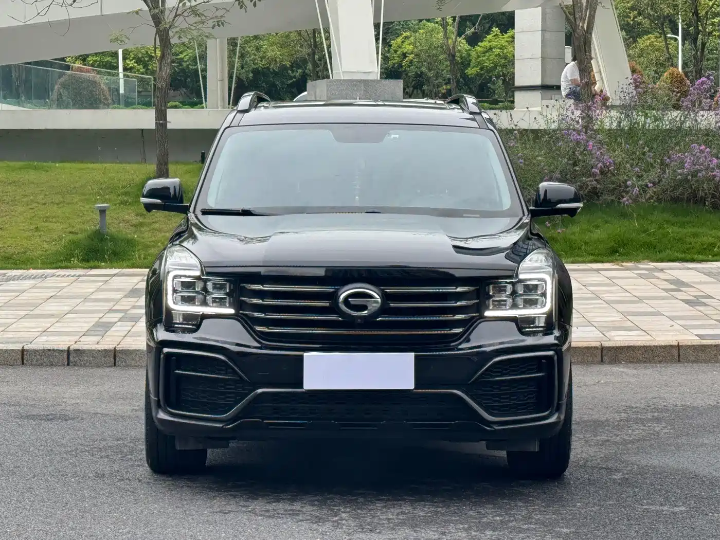 GAC Trumpchi Trumpchi GS8 2021 390T 2WD Dark Night Knight Edition фото 2