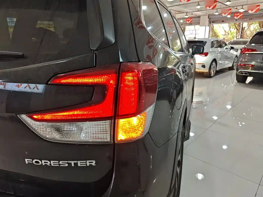 Subaru Forester 2019 2.0i Luxury Edition EyeSight фото 24