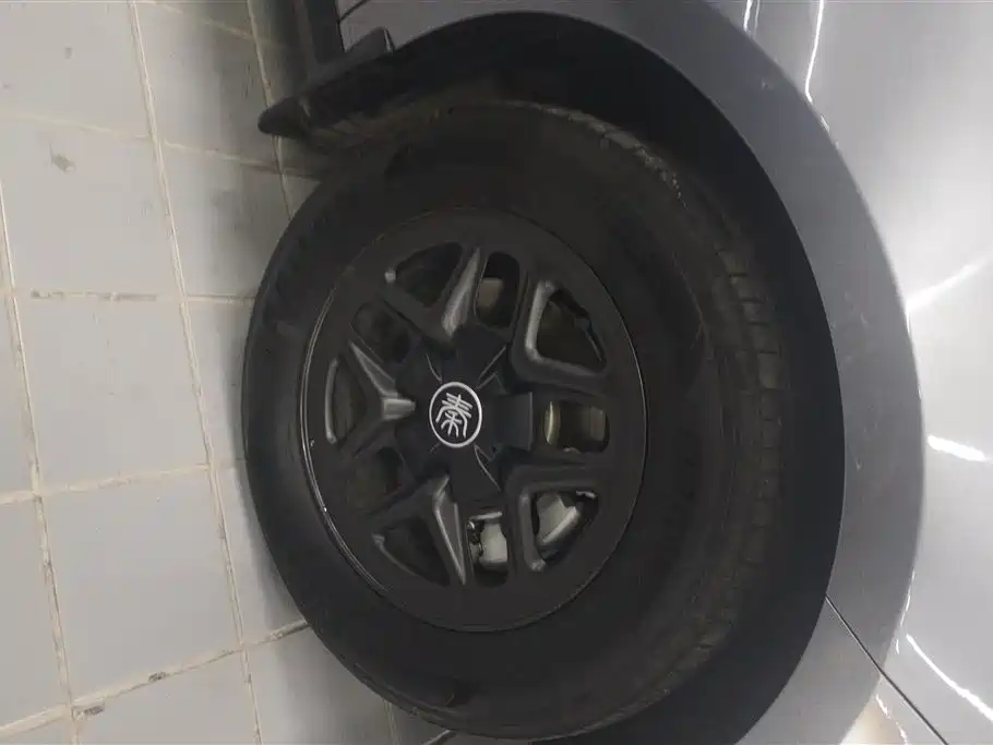 BYD Qin PLUS 2025 DM-i Smart Drive 55KM Leader фото 6