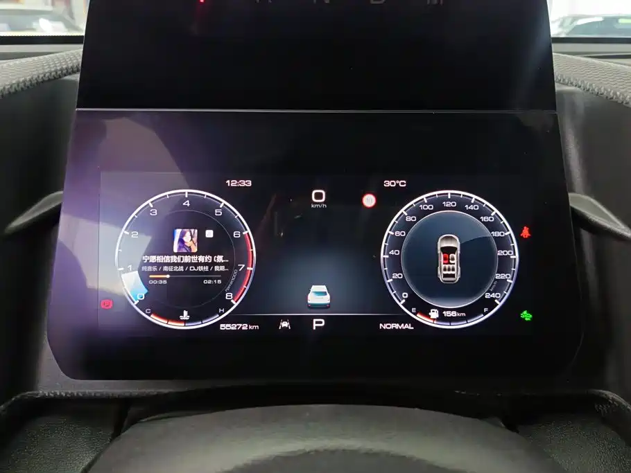 Haval Dargo 2021 2021 2.0T DCT 4WD Chinese Rural Dog Edition