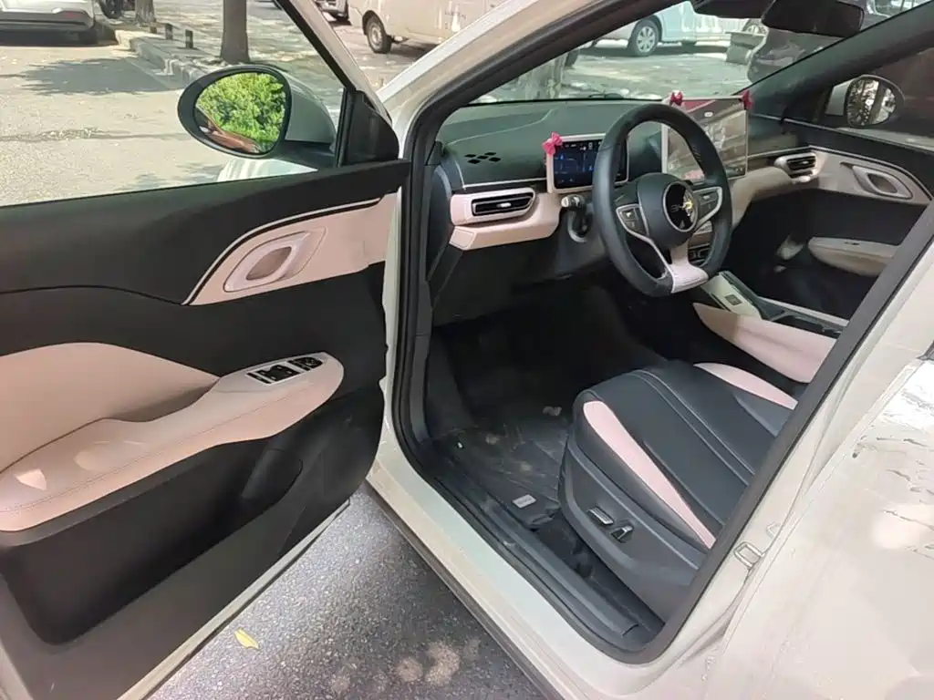 BYD Seagull 2026 2025 Smart Drive Edition 305km Freedom Version
