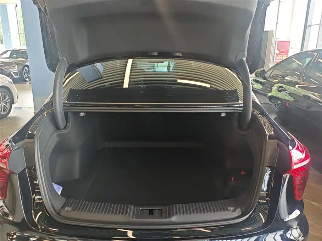 Hongqi H5 2025 2.0T Automatic Flag Celebration 500,000 Units Anniversary Edition фото 19