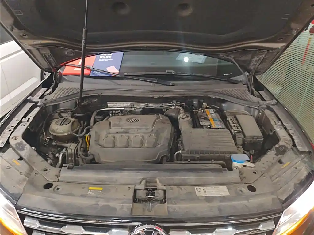 Volkswagen Tiguan L 2018 330TSI Automatic 2WD Luxury Edition фото 20