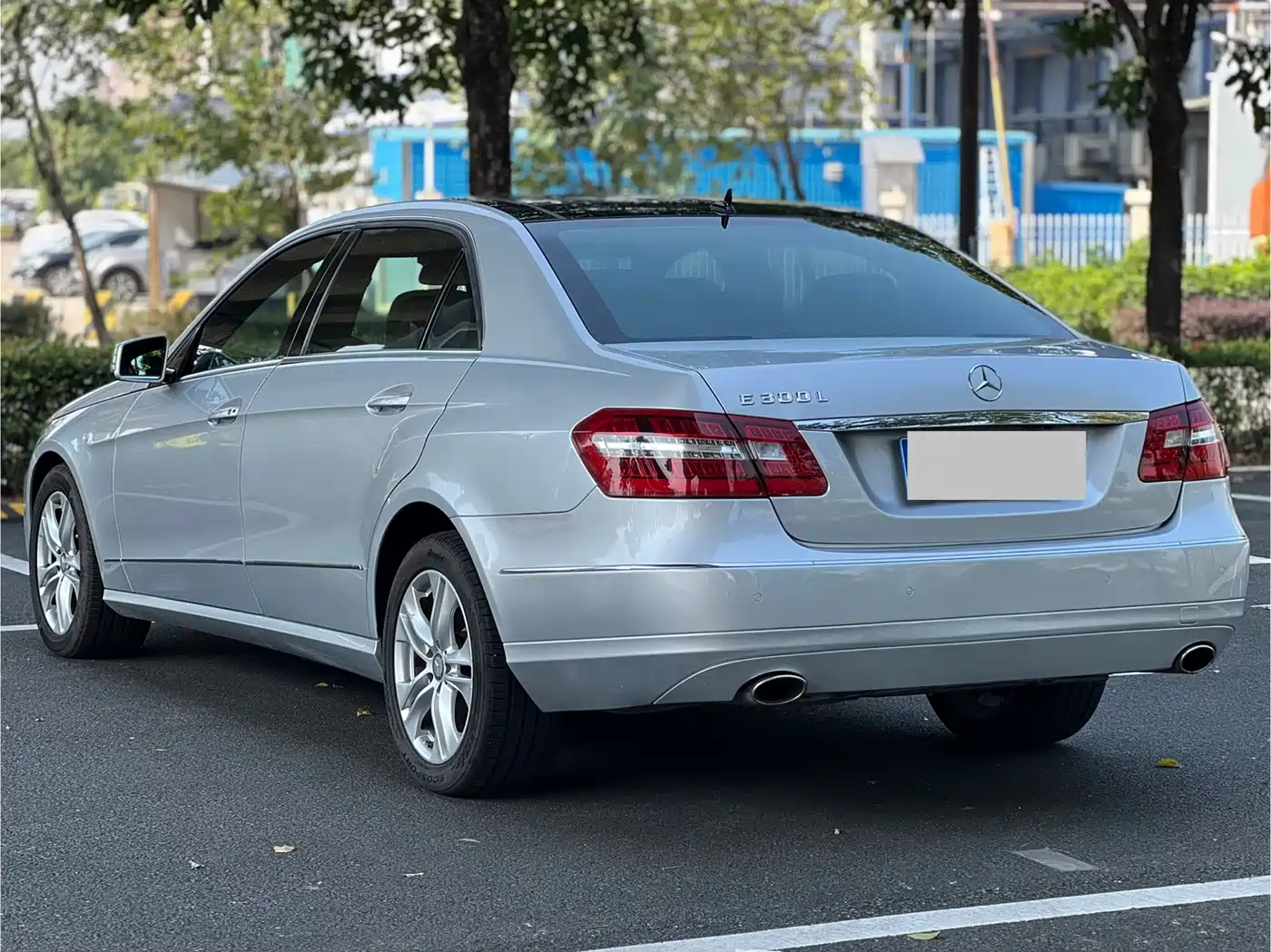 Mercedes-Benz E-Class 2010 E 300 L Fashion фото 6