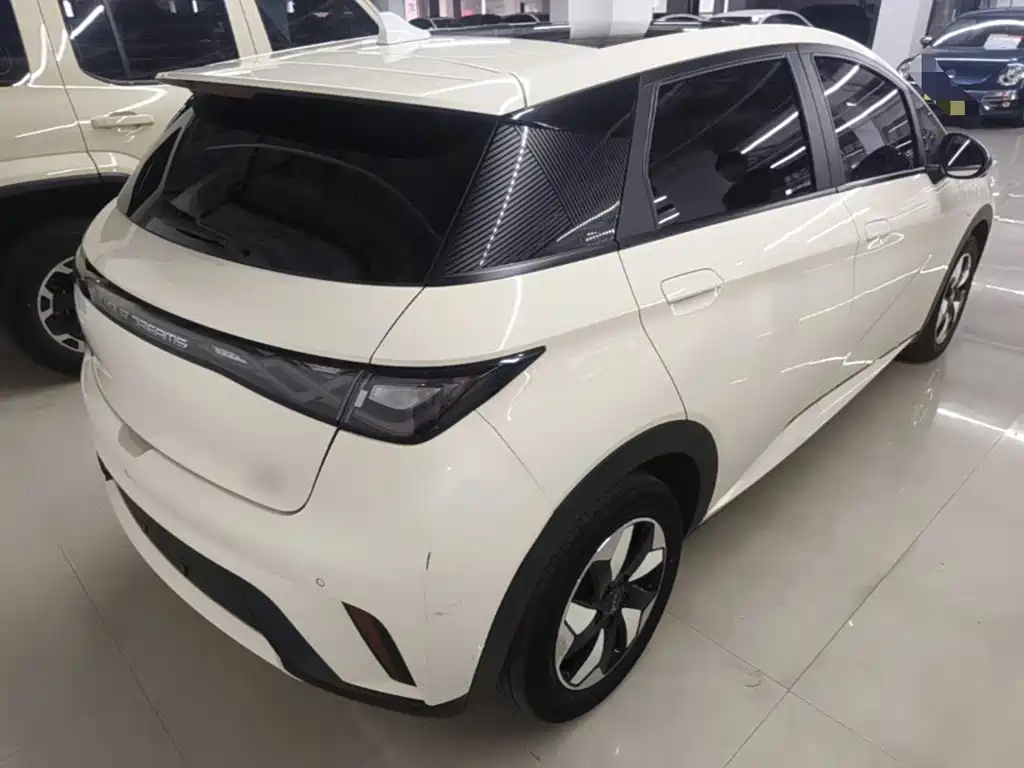 Фото 7 - BYD Dolphin