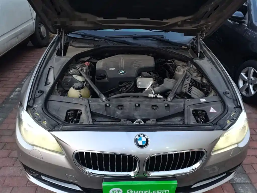 BMW 5 Series (Import) 2014 520i Classic фото 11