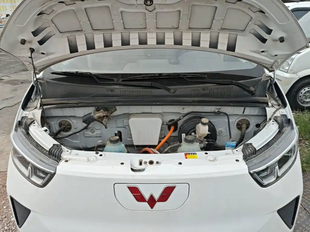Wuling Motors Wuling Yangguang 2025 2024 300KM Comfort Bus Version 75kW