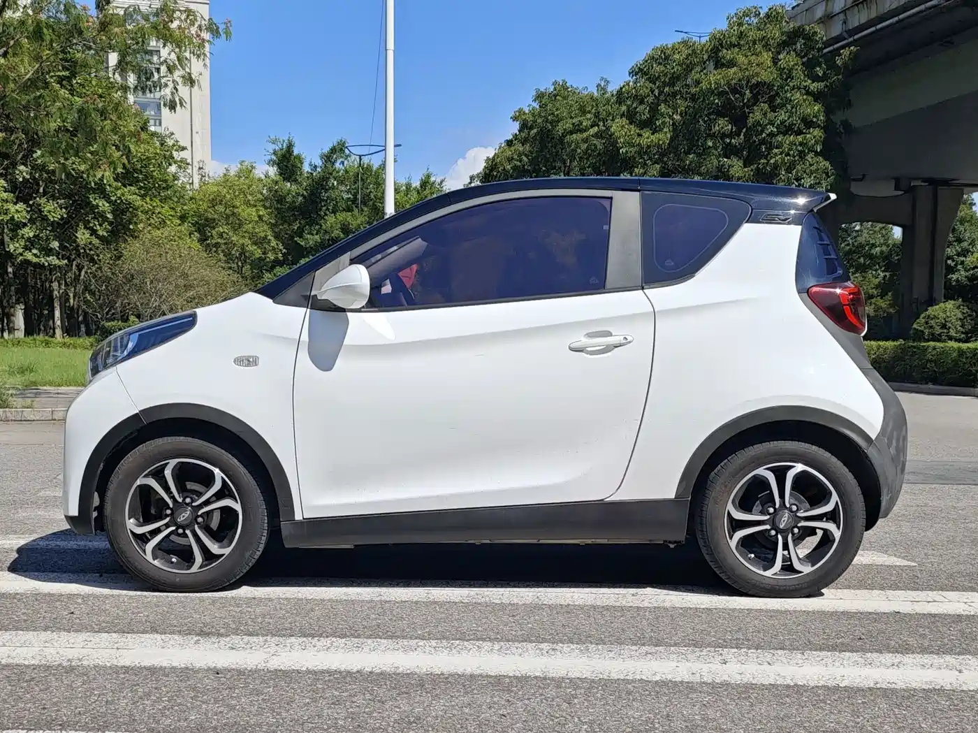 QQ New Energy Little Ant 2020 2021 150K Ant Fans Edition Ant Cool LFP