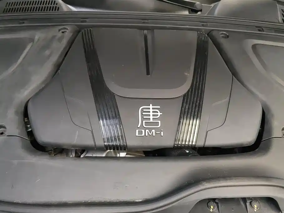 BYD Tang New Energy 2022 DM-i 252KM Executive фото 10