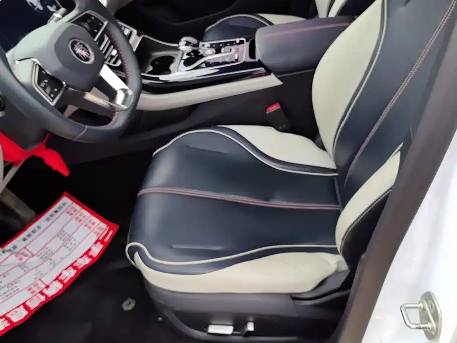BYD Qin PLUS 2021 DM-i 55KM Flagship фото 9