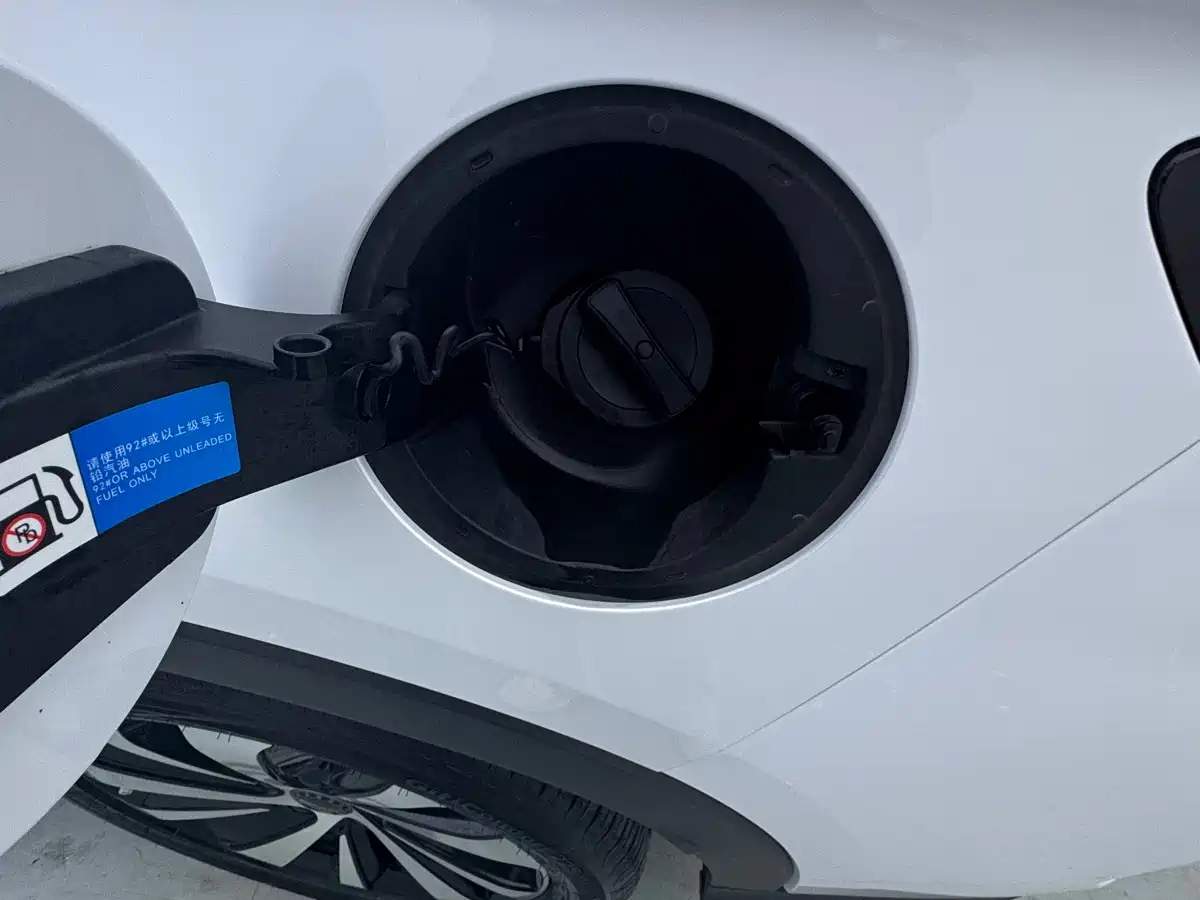 BYD Song PLUS PHEV 2024 Glory Edition DM-i 110km Flagship фото 7