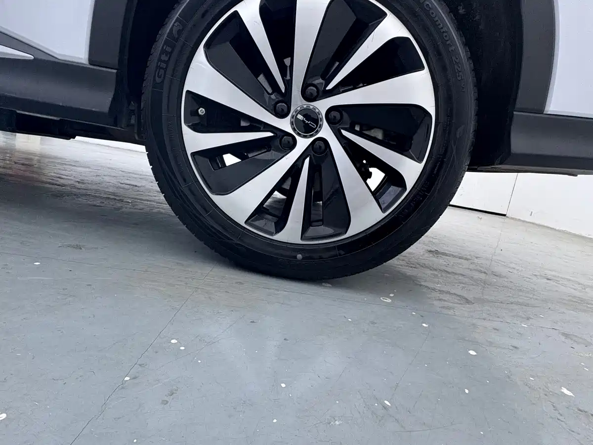 BYD Song PLUS PHEV 2024 Glory Edition DM-i 110km Flagship фото 8