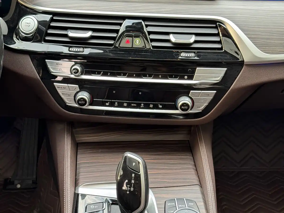 BMW 5 Series New Energy 2020 530Le Range Upgrade Luxury Package фото 7