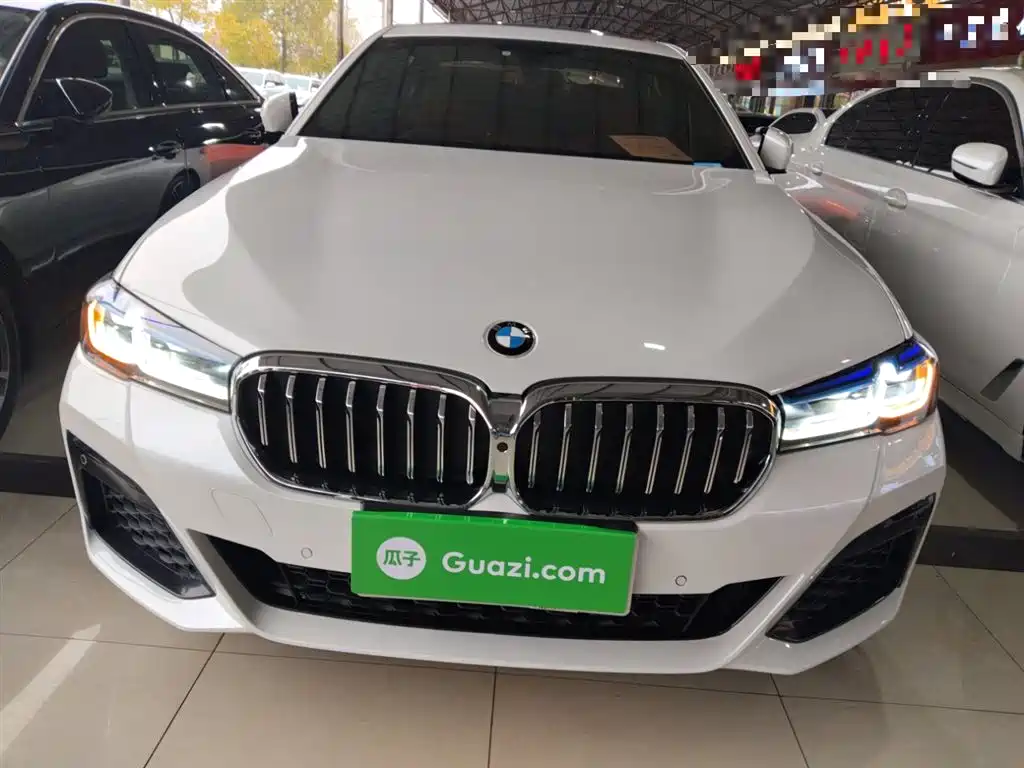 BMW 5 Series 2019 530Li Leading M Sport Package фото 3