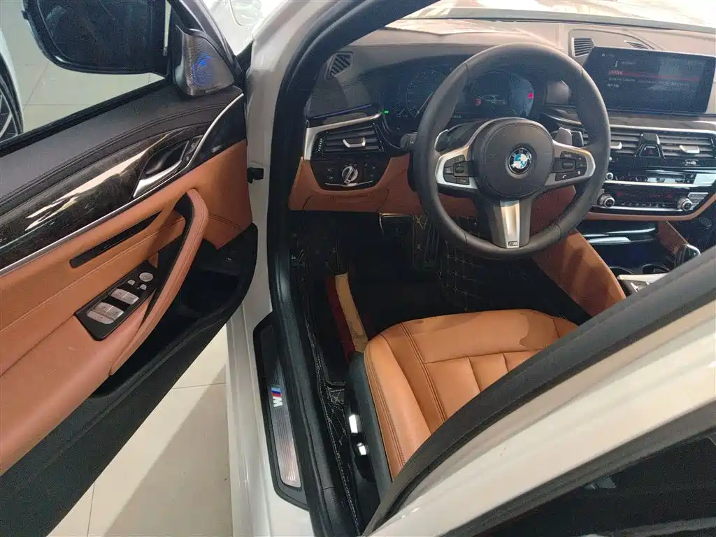 BMW 5 Series 2019 530Li Leading M Sport Package фото 12
