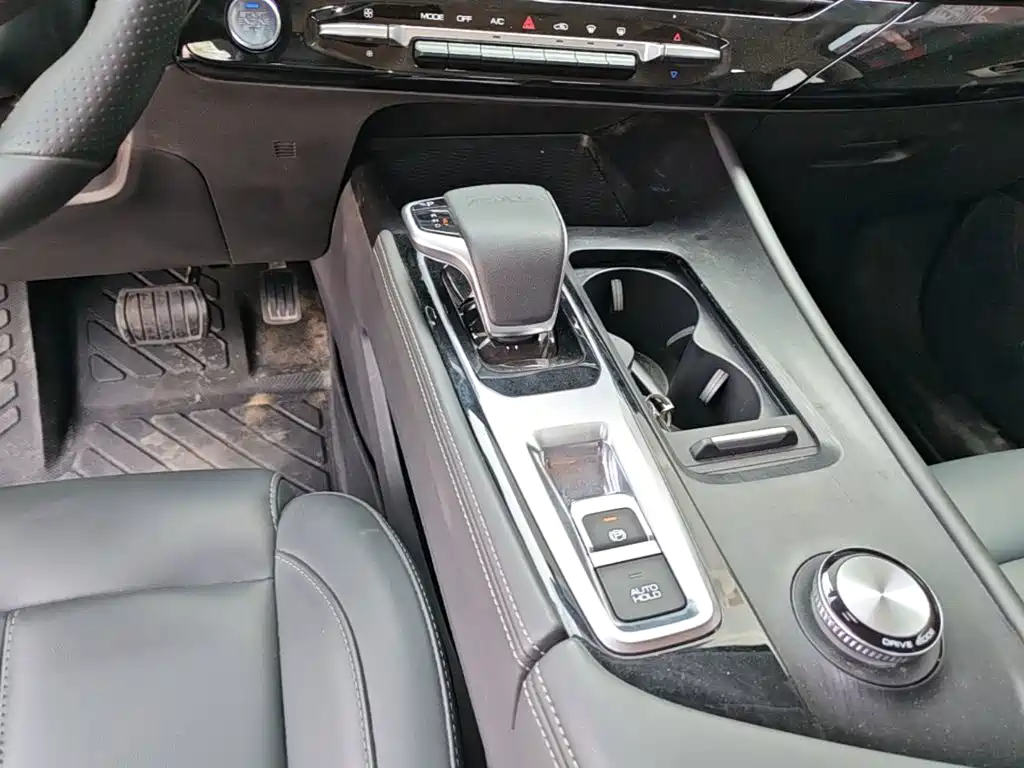 Dongfeng Aeolus Haoji 2025 2025 Mach Power 1.5T Luxury Model