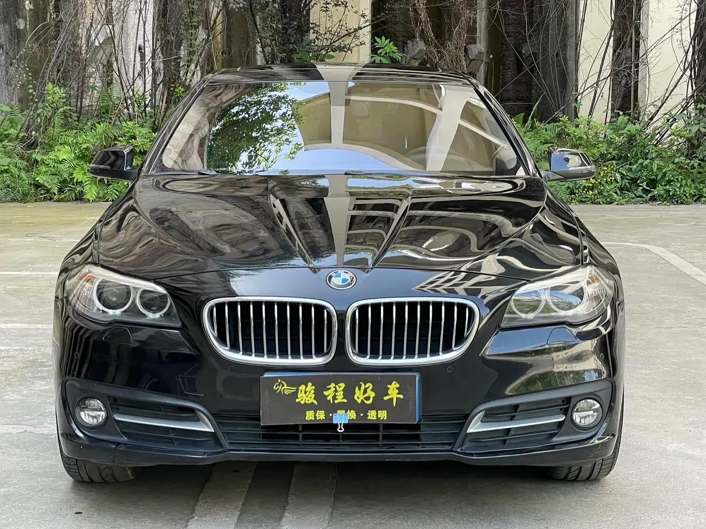 BMW 5 Series 2014 520Li Elegance фото 2