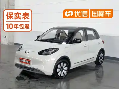 Wuling Bingo