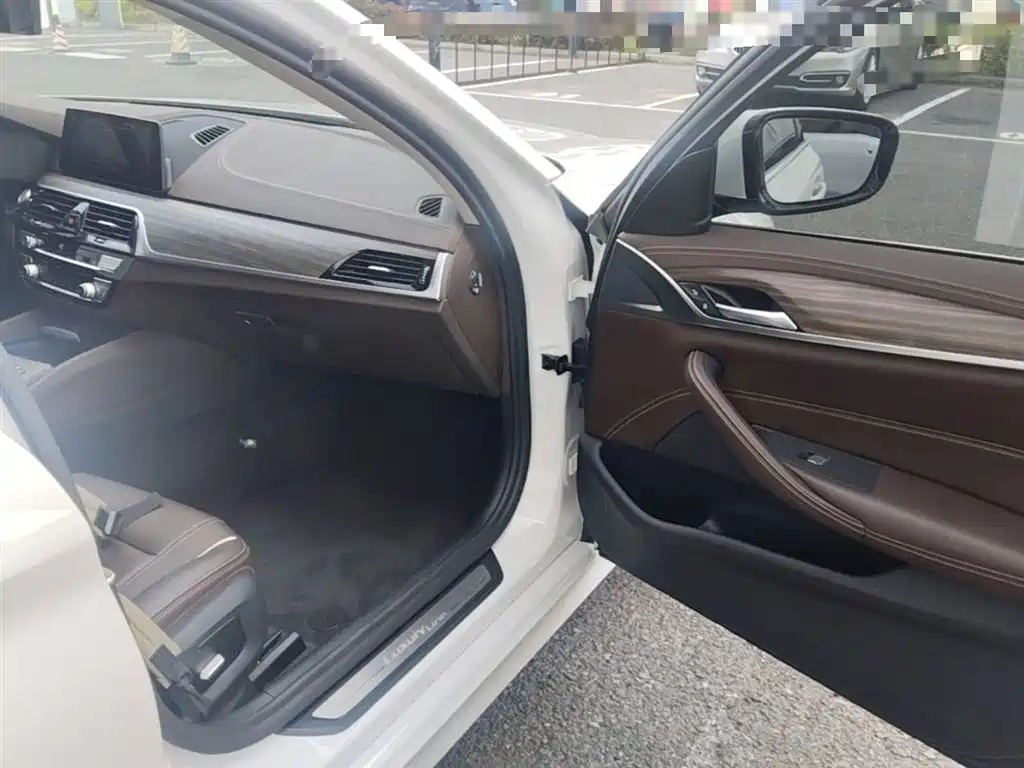 BMW 5 Series 2020 530Li xDrive Luxury Package фото 11