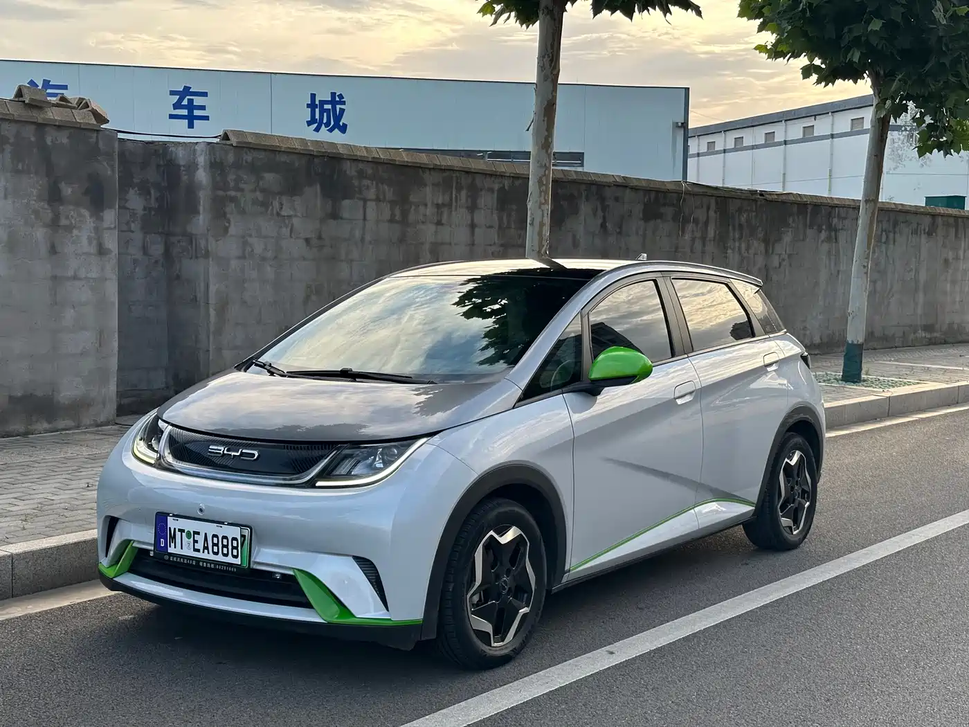 BYD Dolphin 2021 Model 405km Fashion Edition