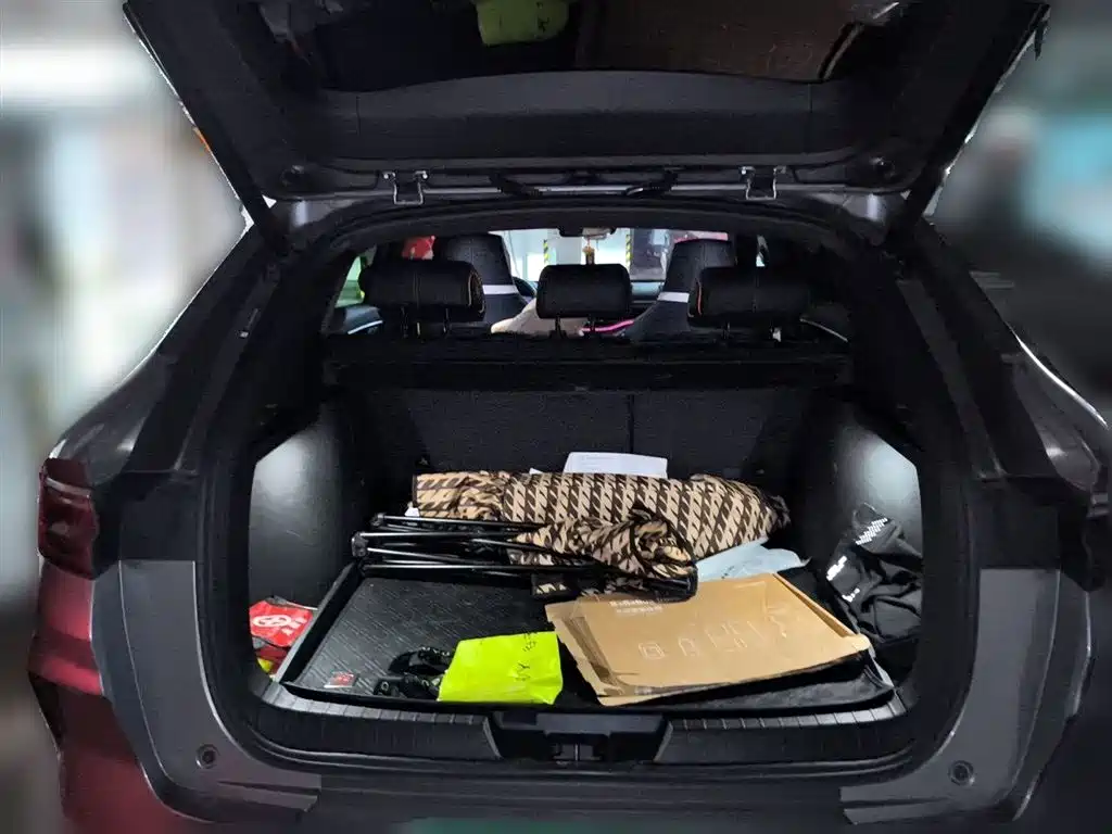 BYD Song PLUS PHEV 2021 DM-i 110KM Flagship PLUS фото 10