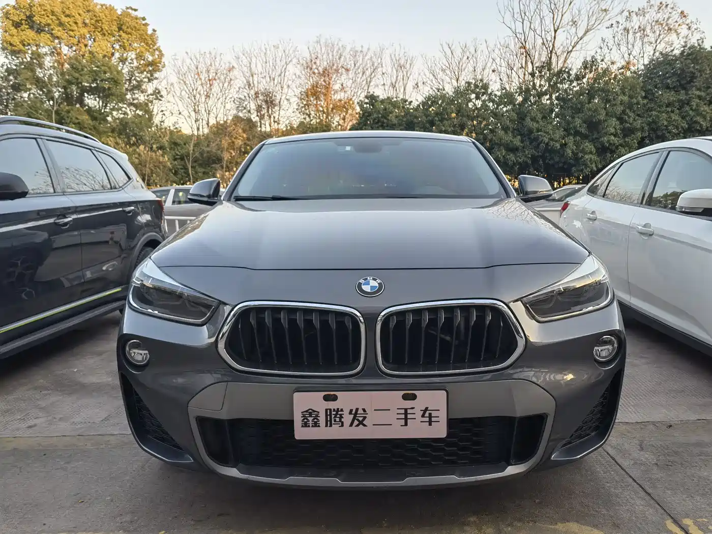 BMW X2 (Import) 2019 2019 sDrive20i M Off-Road Package China VI