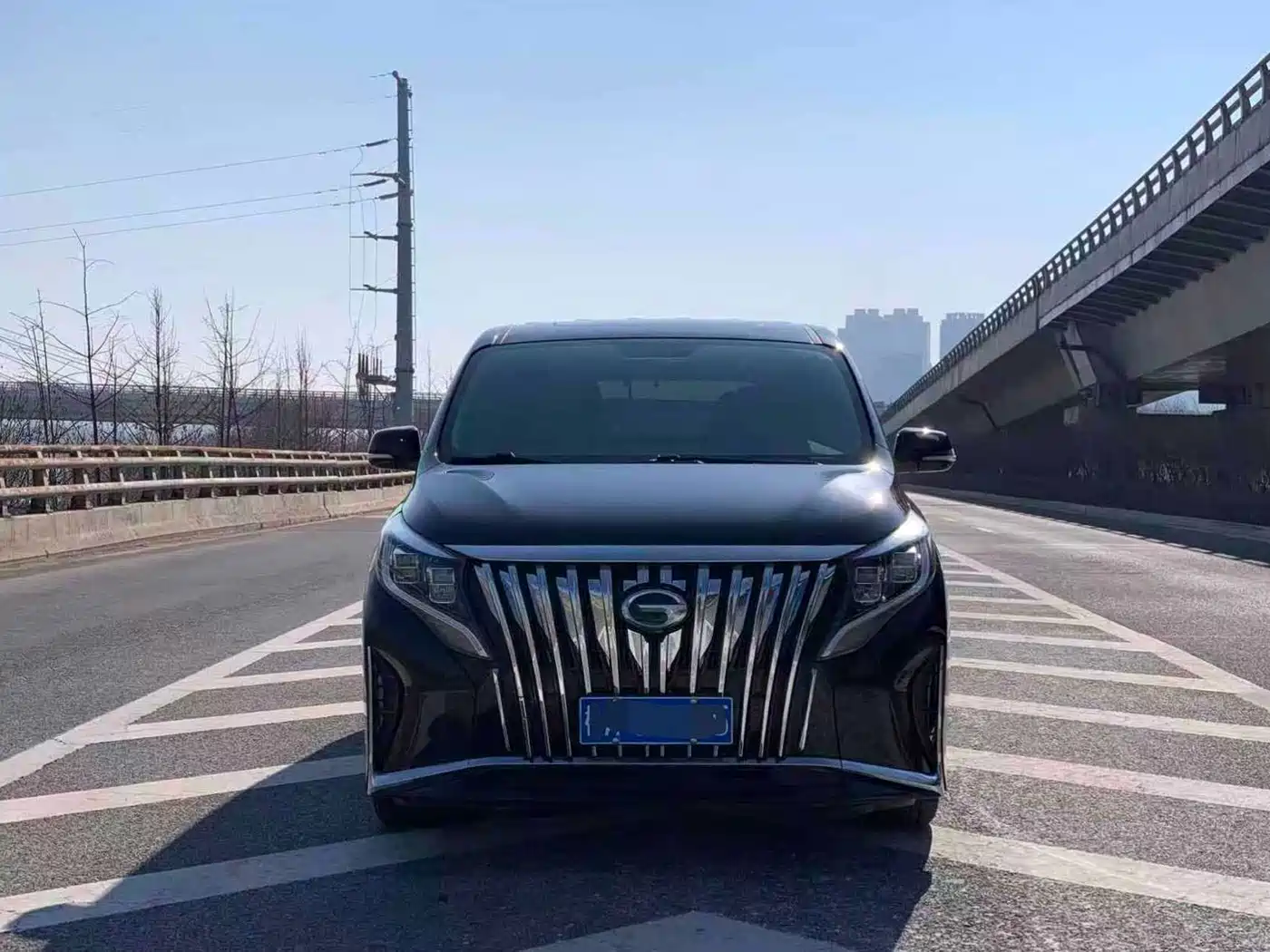 GAC Trumpchi Trumpchi M8 2021 Leading Show Series 390T Premium Edition фото 2