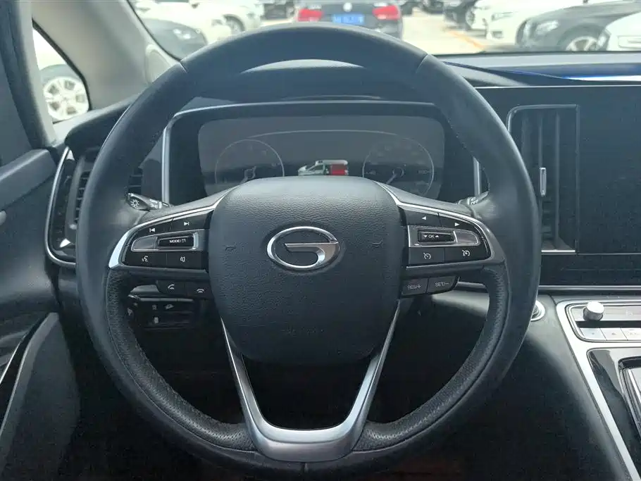GAC Trumpchi Trumpchi M8 2021 Leading Show Series 390T Premium Edition фото 15