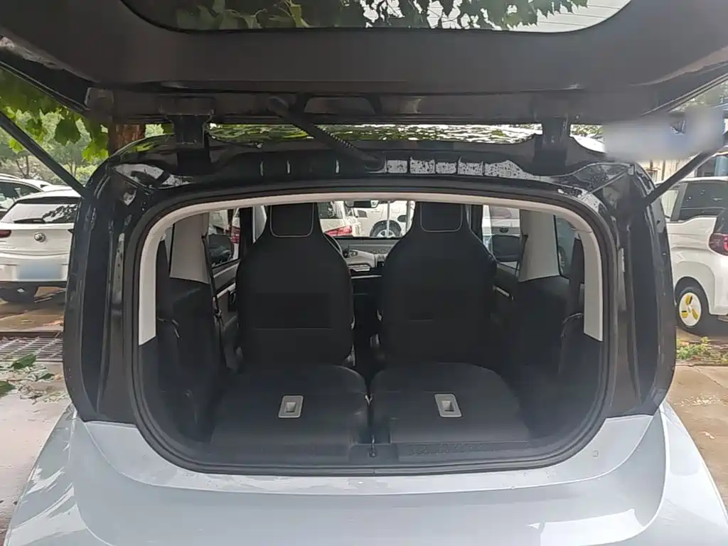 Baojun KiWi EV 2021 2021 Artist LFP