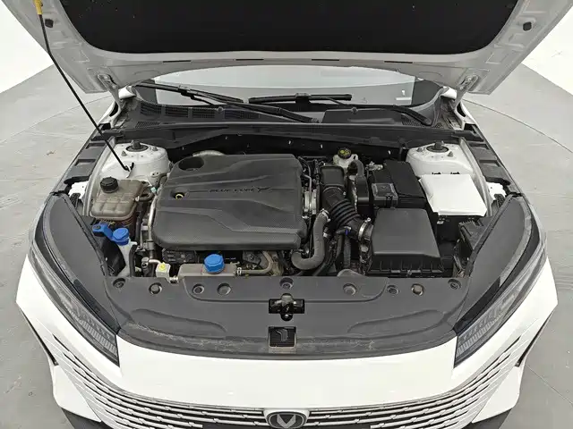 Changan Yida 2023 2023 Blue Whale NE 1.5T GDI DCT Pilot