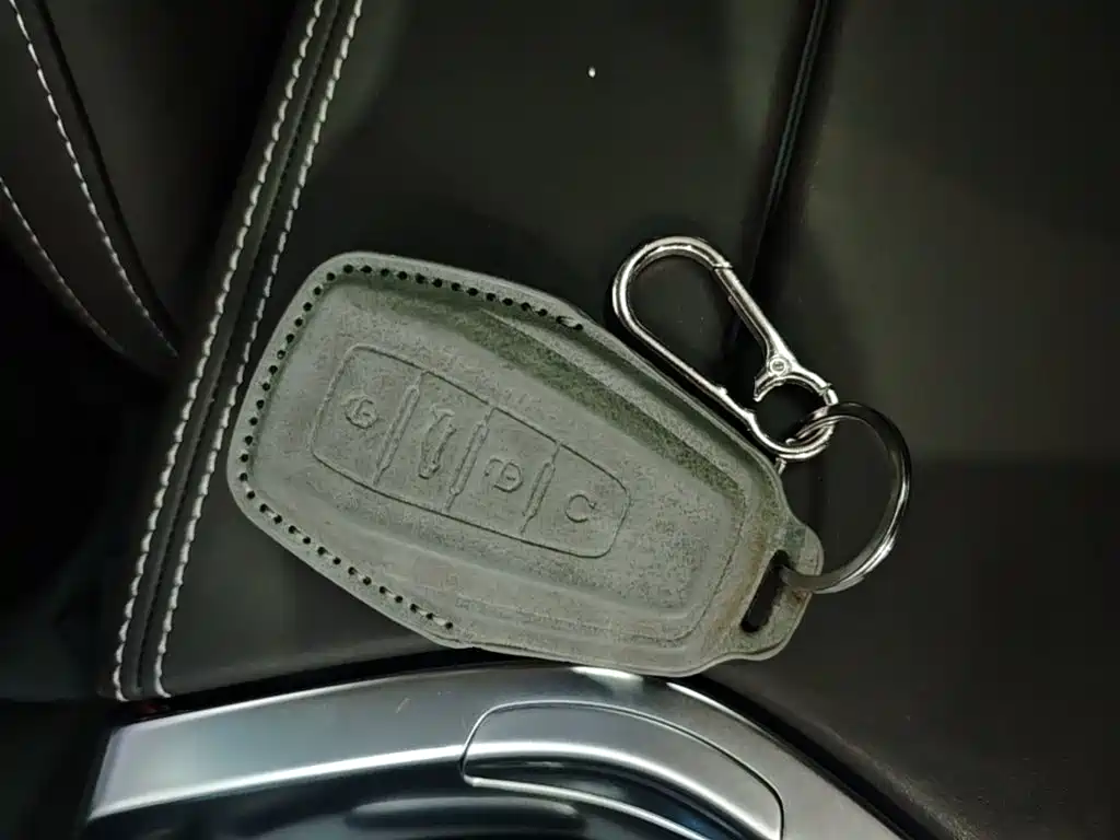 Geely Jiaji 2020 2019 1.5TD MHEV DCT Premium Edition