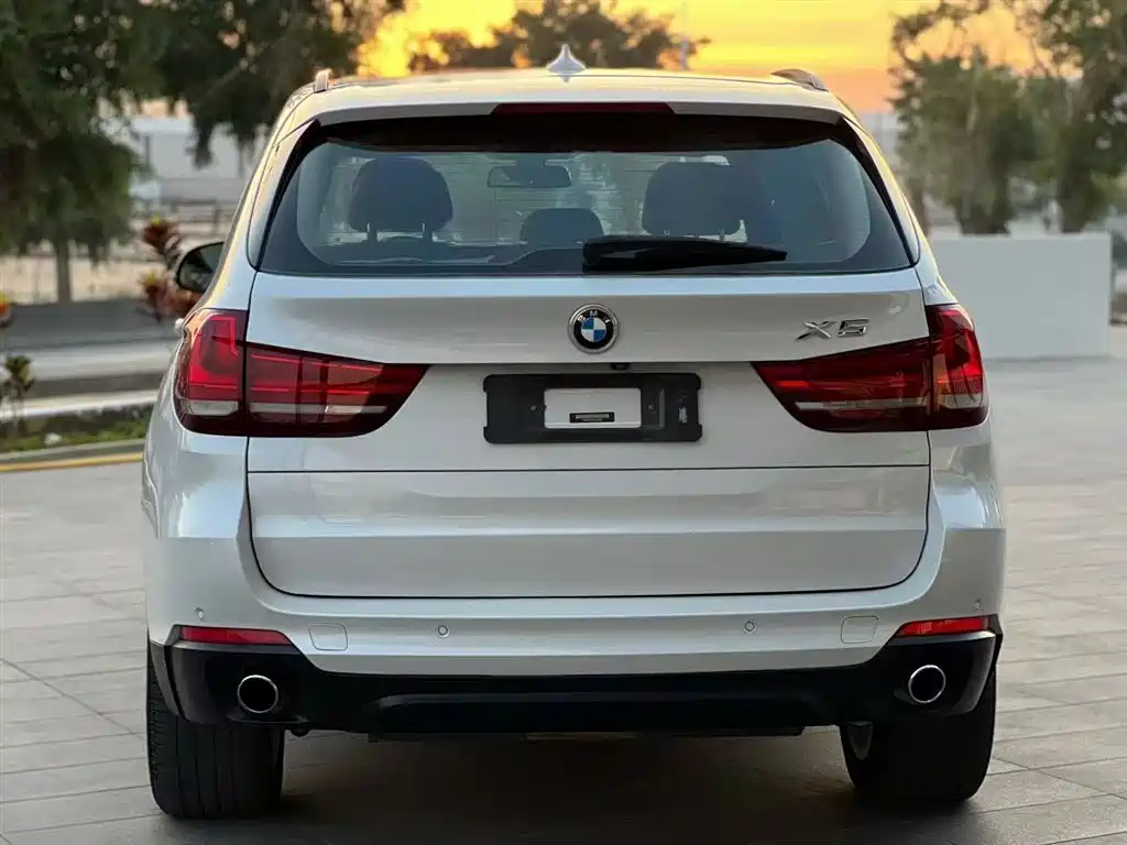 BMW X5 (Import) 2014 xDrive35i Elegance фото 9