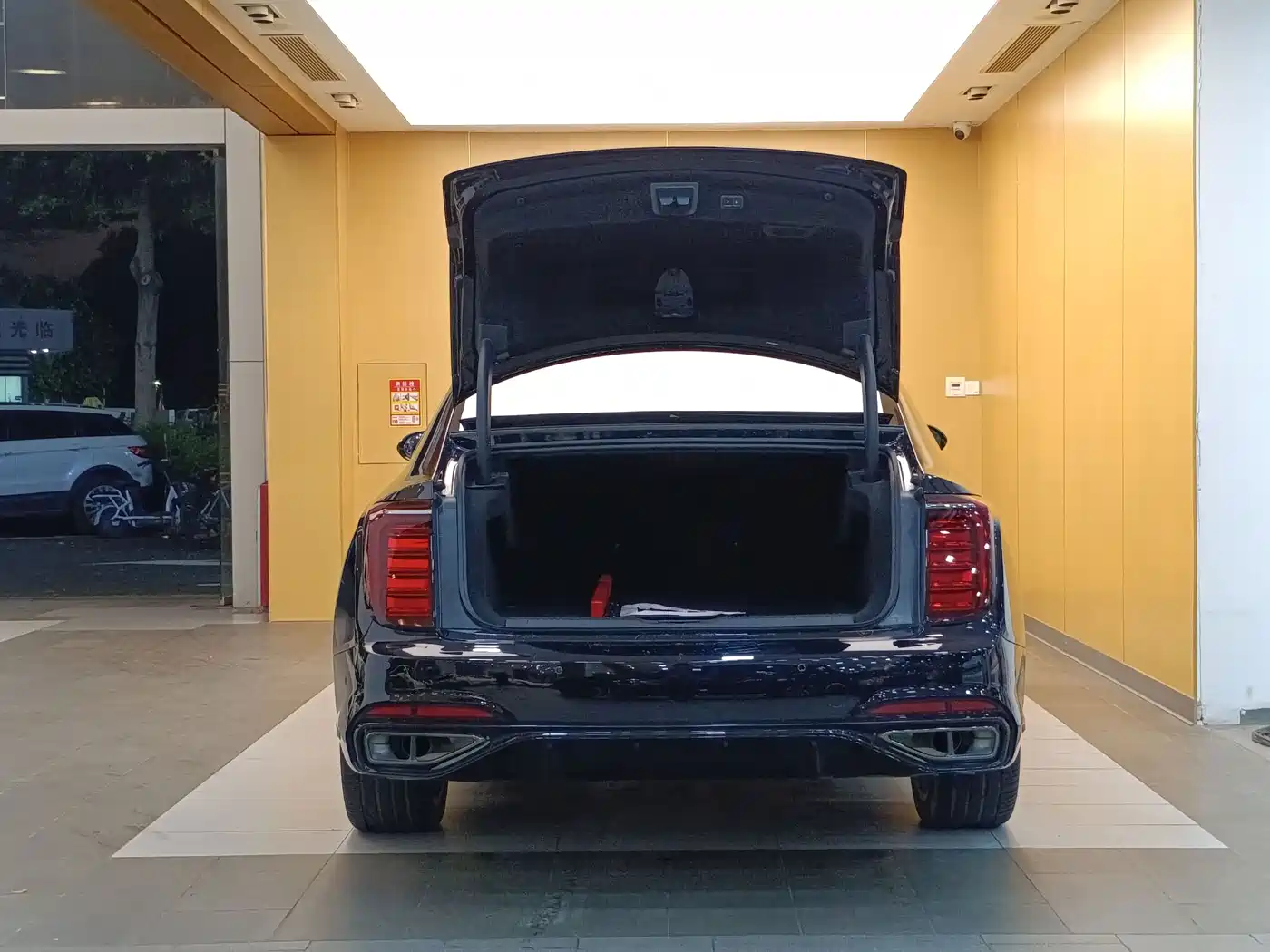 Hongqi H9 2025 2025 2.0T 2WD Qi Chang Private Style Edition 5-seater