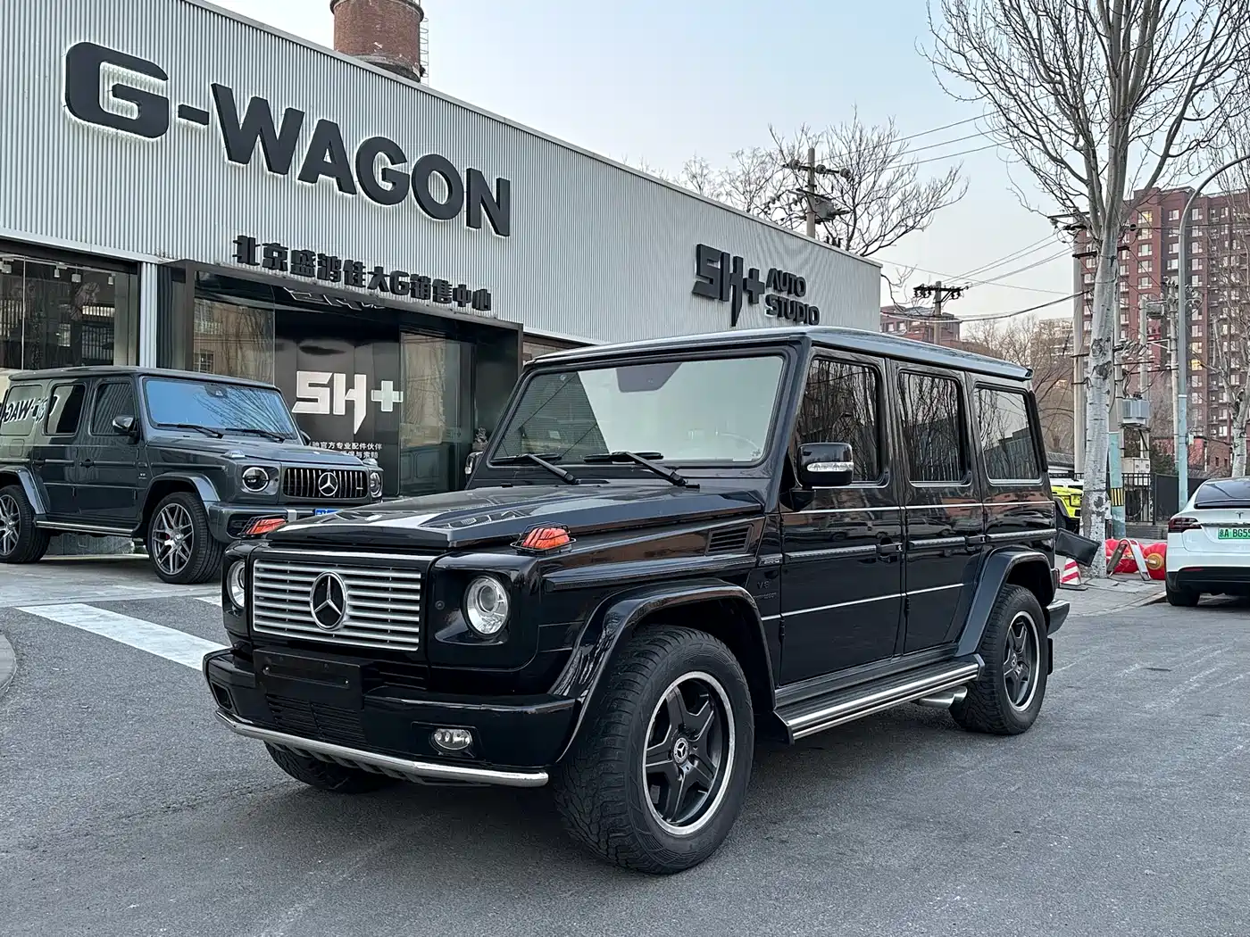 Mercedes-Benz G-Class AMG 2009 AMG G 55