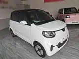Фото 4 - Xiaohu EV