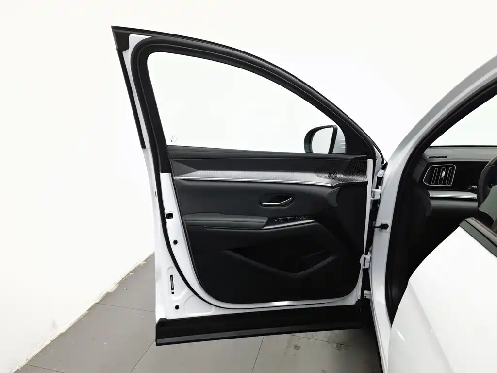 BYD Song Pro, миниатюра 8
