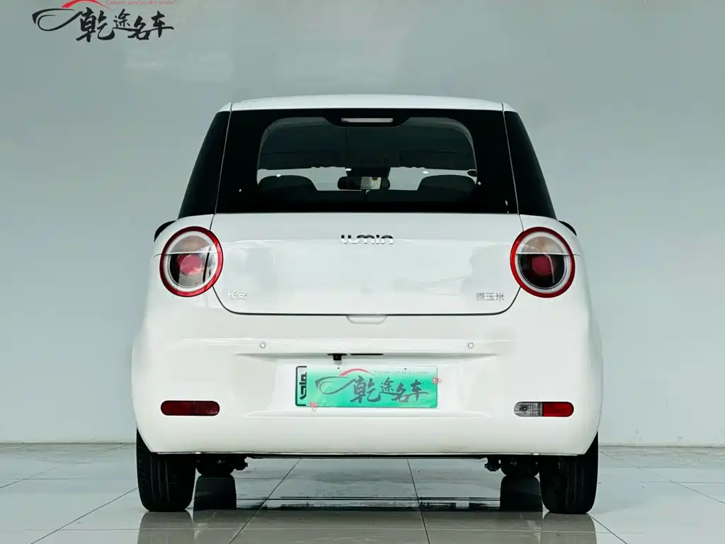 Фото 6 - Changan Lumin