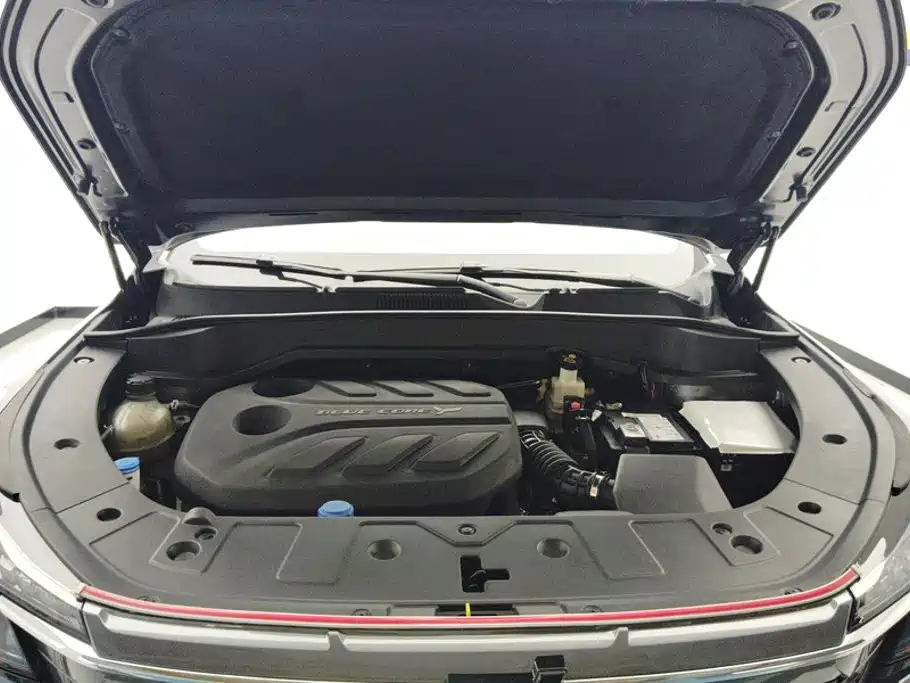 Changan Oshan Z6 2023 2022 Blue Whale 1.5T DCT Intelligent Leader
