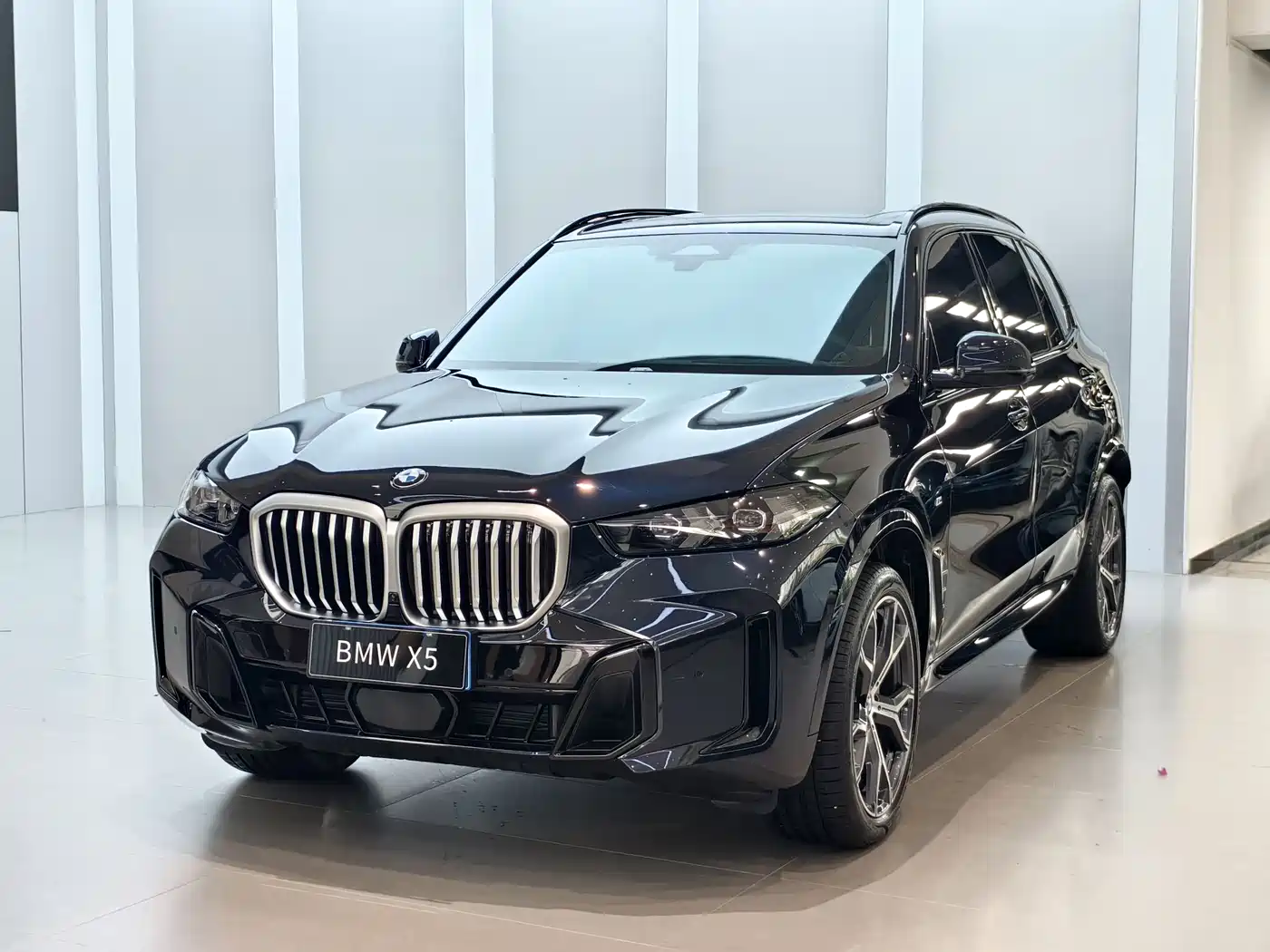 BMW X5 2023 xDrive 30Li Premium M Sport Black Night Package