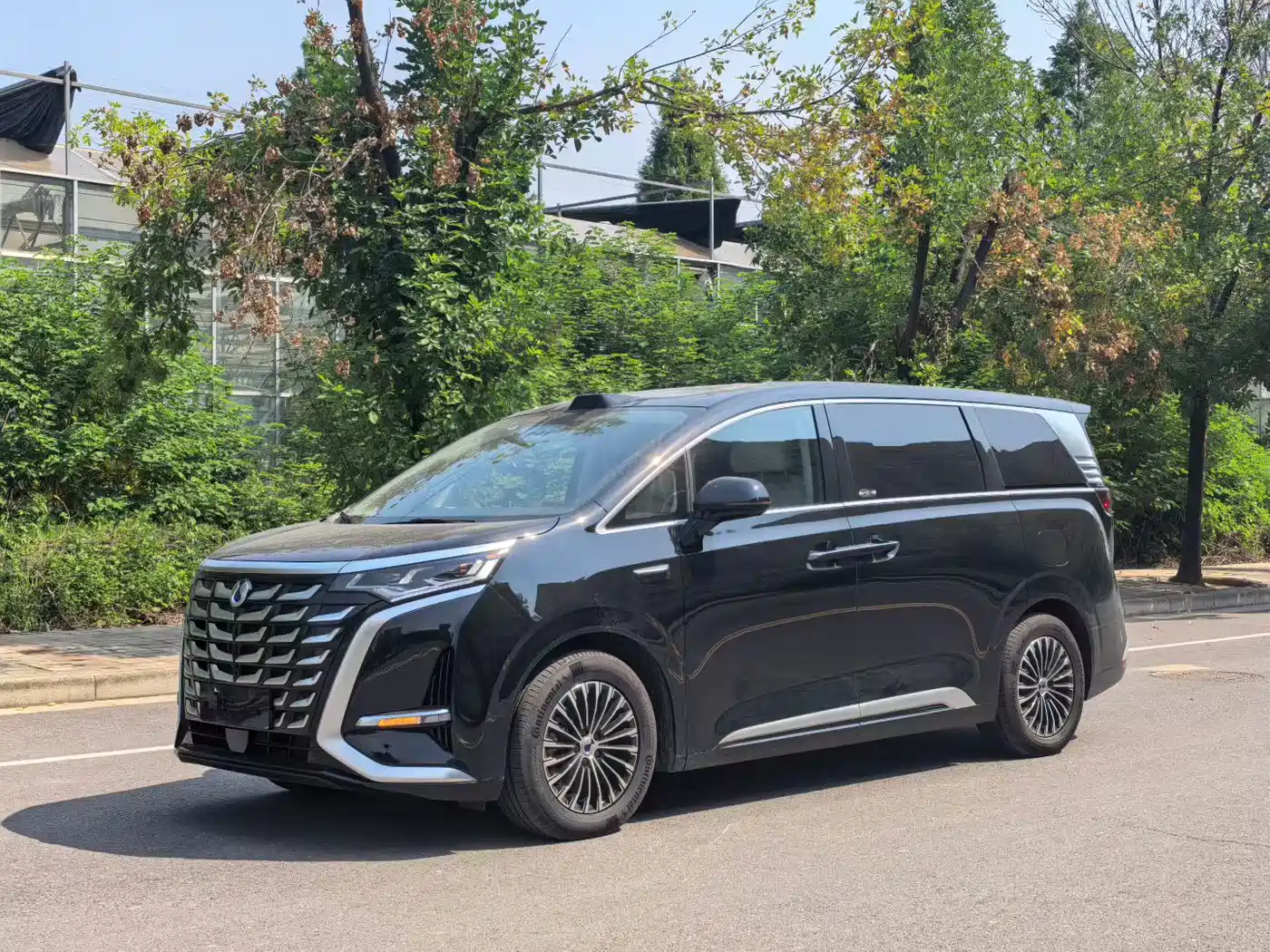 2026 Denza D9