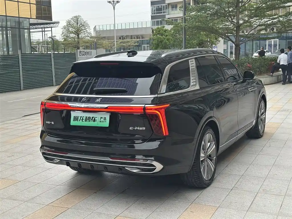 Hongqi HONGQI E HS9