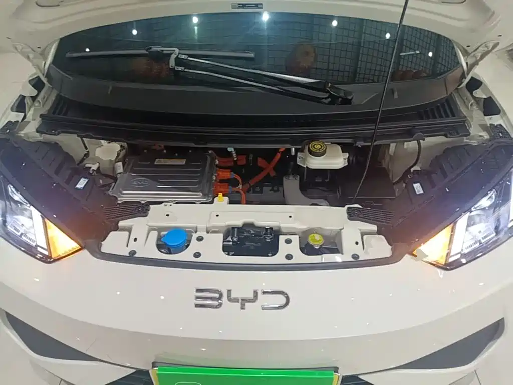 BYD Seagull 2026 2025 Smart Drive Edition 305km Vitality Version