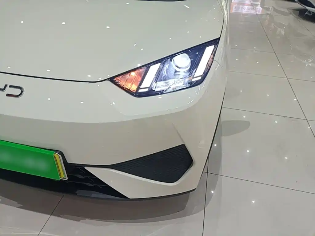 BYD Seagull 2026 2025 Smart Drive Edition 305km Vitality Version