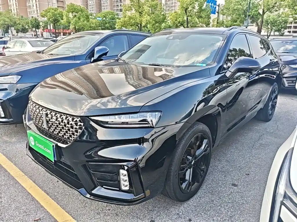 WEY VV7 2020 2021 Model 2.0T Technology Edition
