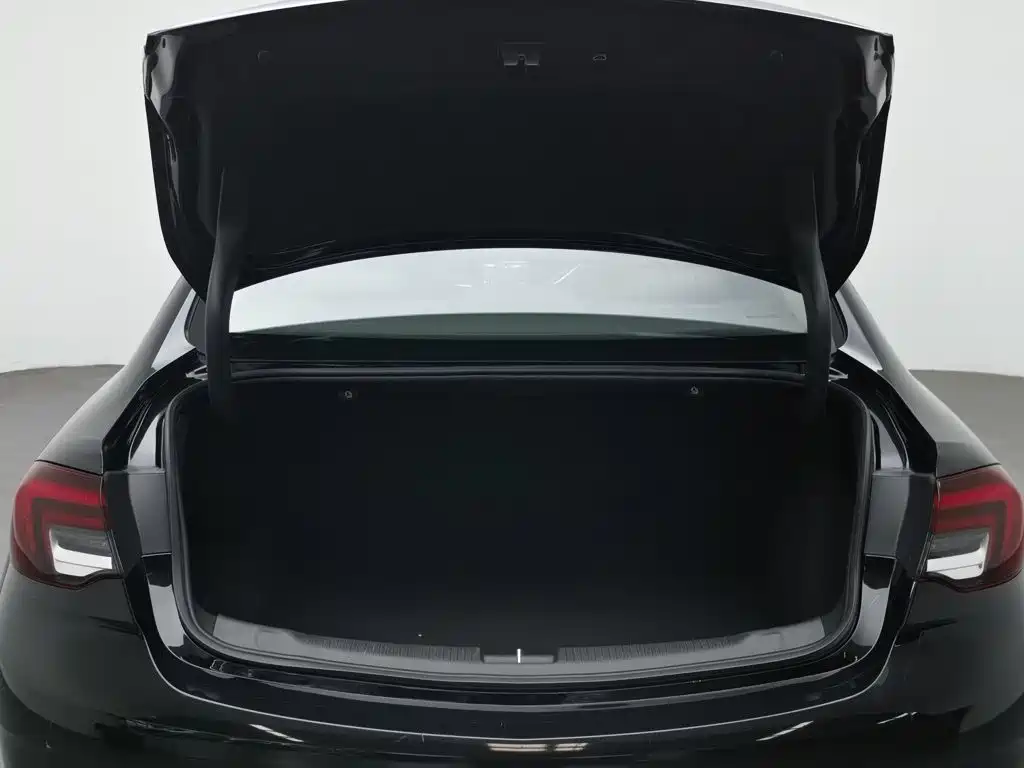 صورة 16 - Buick Regal