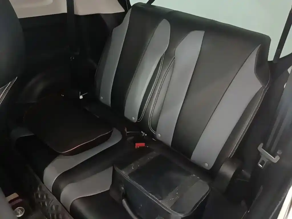 Roewe Clever 2024 2022 311km Vitality Bobo Edition