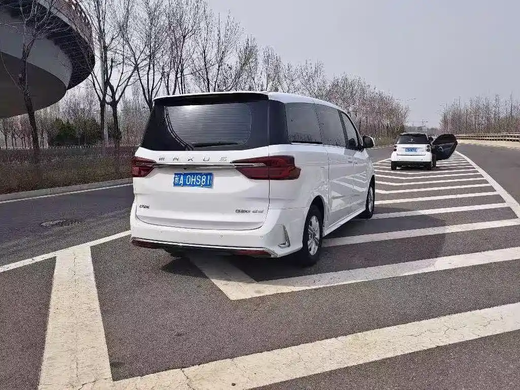 SAIC MAXUS CHASE G20